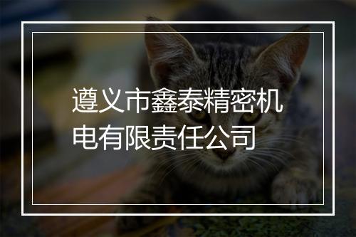 遵义市鑫泰精密机电有限责任公司