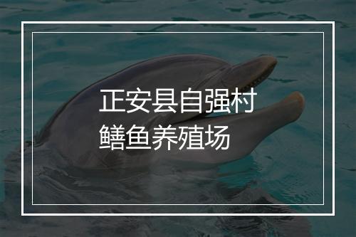 正安县自强村鳝鱼养殖场