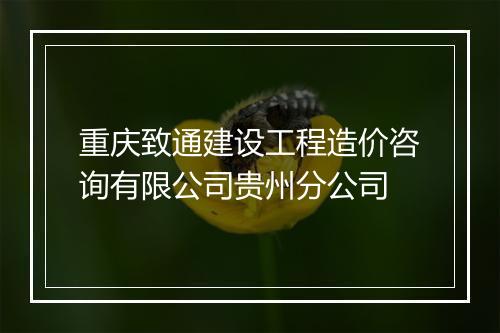 重庆致通建设工程造价咨询有限公司贵州分公司
