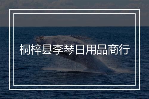 桐梓县李琴日用品商行