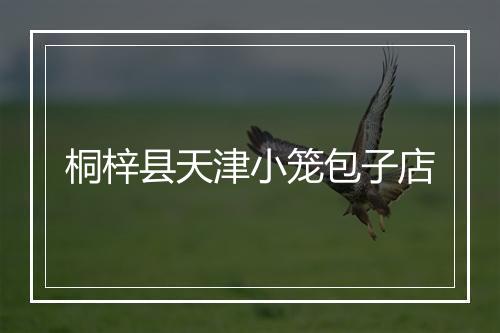 桐梓县天津小笼包子店
