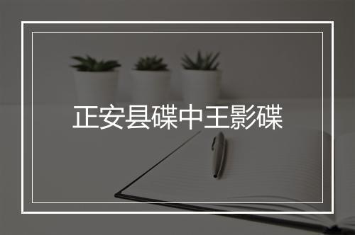 正安县碟中王影碟