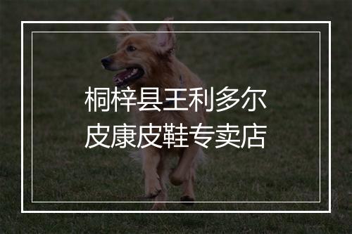 桐梓县王利多尔皮康皮鞋专卖店
