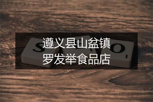 遵义县山盆镇罗发举食品店