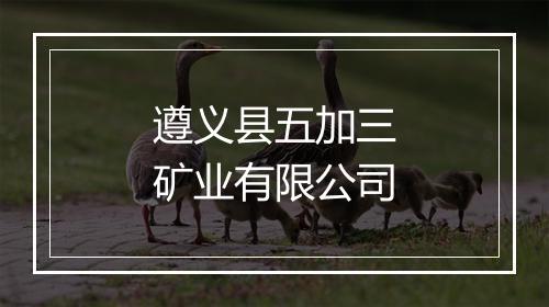 遵义县五加三矿业有限公司