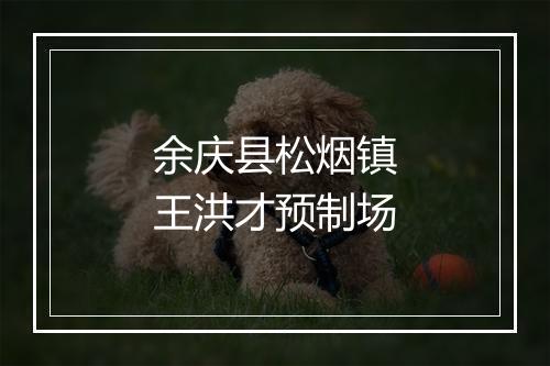 余庆县松烟镇王洪才预制场