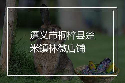 遵义市桐梓县楚米镇林微店铺