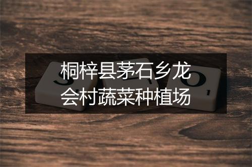 桐梓县茅石乡龙会村蔬菜种植场