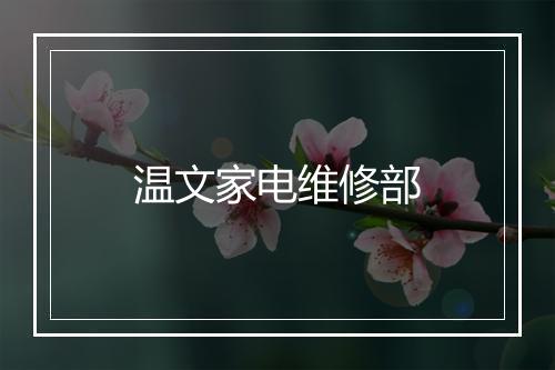 温文家电维修部