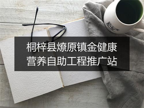 桐梓县燎原镇金健康营养自助工程推广站