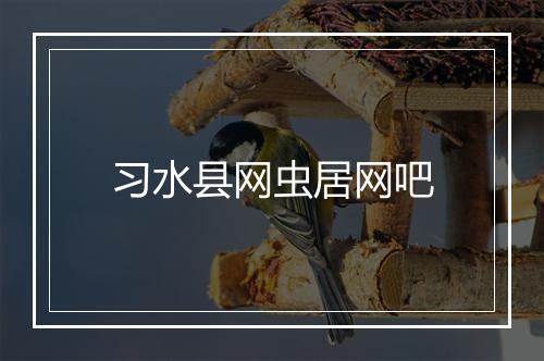习水县网虫居网吧