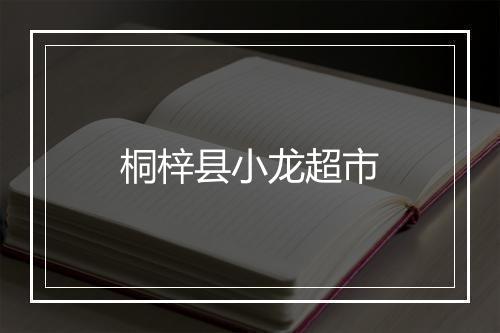 桐梓县小龙超市