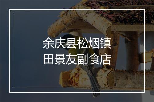 余庆县松烟镇田景友副食店