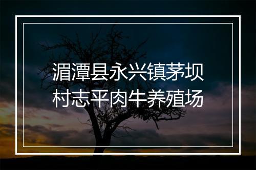 湄潭县永兴镇茅坝村志平肉牛养殖场