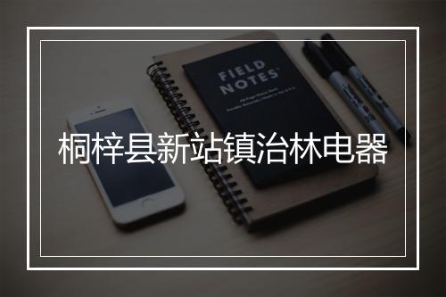 桐梓县新站镇治林电器