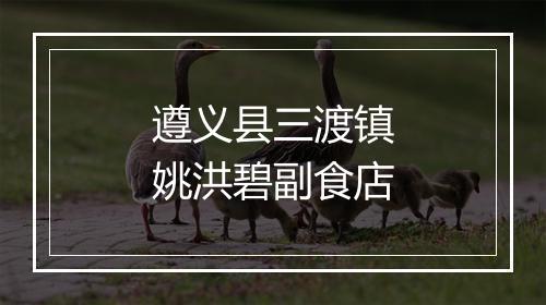 遵义县三渡镇姚洪碧副食店