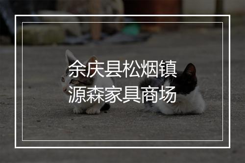 余庆县松烟镇源森家具商场