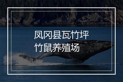 凤冈县瓦竹坪竹鼠养殖场