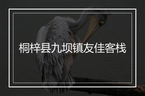 桐梓县九坝镇友佳客栈