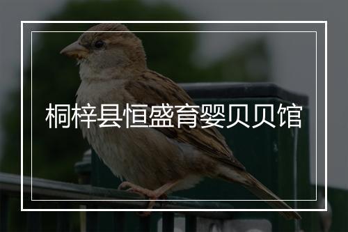 桐梓县恒盛育婴贝贝馆
