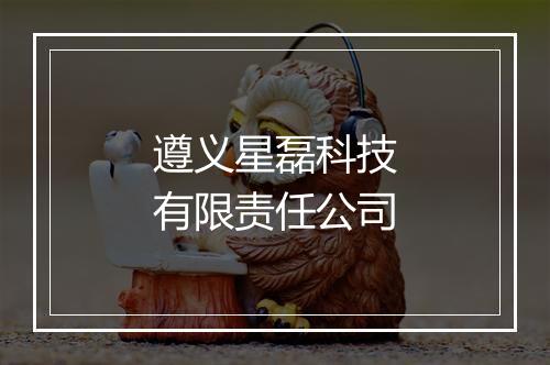 遵义星磊科技有限责任公司