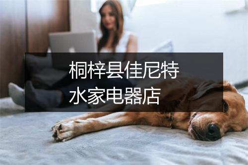 桐梓县佳尼特水家电器店
