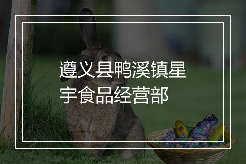 遵义县鸭溪镇星宇食品经营部