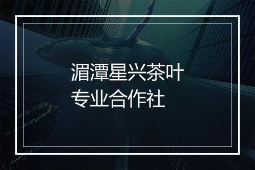 湄潭星兴茶叶专业合作社
