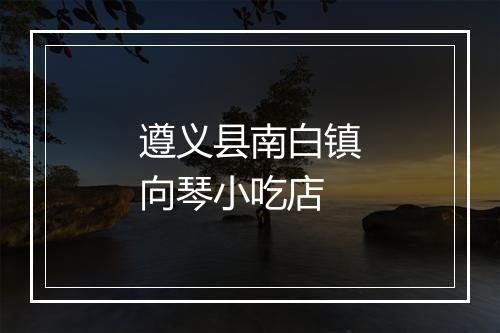 遵义县南白镇向琴小吃店