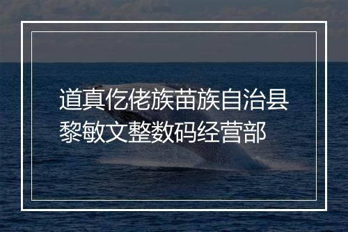 道真仡佬族苗族自治县黎敏文整数码经营部