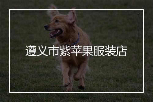 遵义市紫苹果服装店