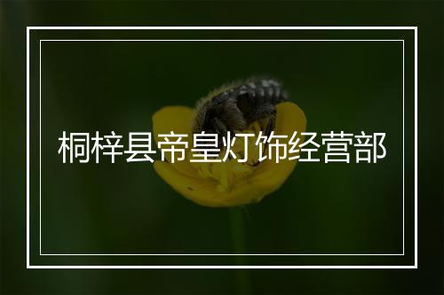 桐梓县帝皇灯饰经营部