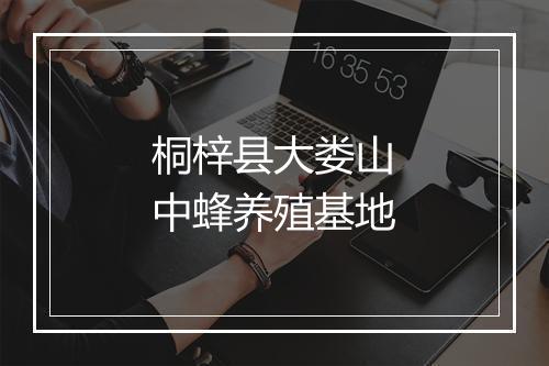 桐梓县大娄山中蜂养殖基地
