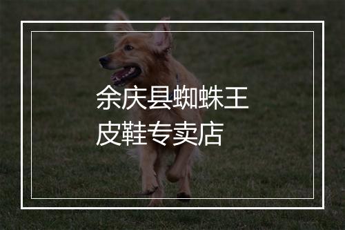 余庆县蜘蛛王皮鞋专卖店