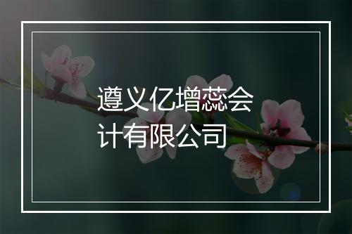 遵义亿增蕊会计有限公司