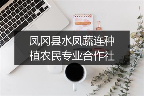 凤冈县水凤蔬连种植农民专业合作社