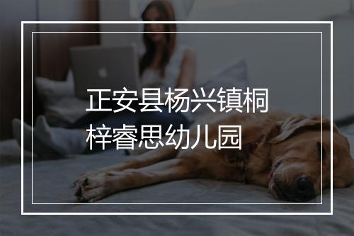 正安县杨兴镇桐梓睿思幼儿园