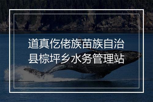 道真仡佬族苗族自治县棕坪乡水务管理站