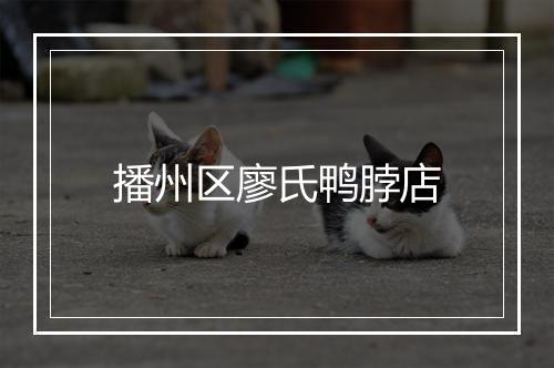 播州区廖氏鸭脖店