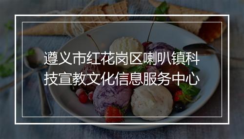 遵义市红花岗区喇叭镇科技宣教文化信息服务中心