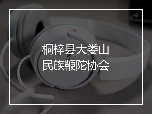 桐梓县大娄山民族鞭陀协会
