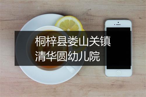 桐梓县娄山关镇清华圆幼儿院