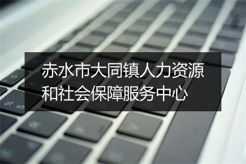 赤水市大同镇人力资源和社会保障服务中心