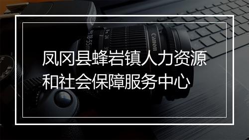 凤冈县蜂岩镇人力资源和社会保障服务中心