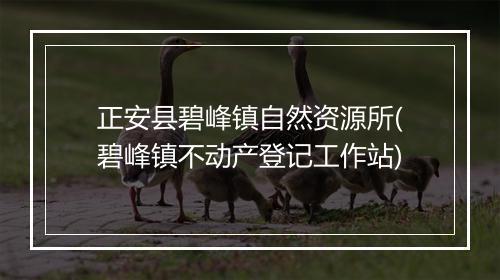 正安县碧峰镇自然资源所(碧峰镇不动产登记工作站)
