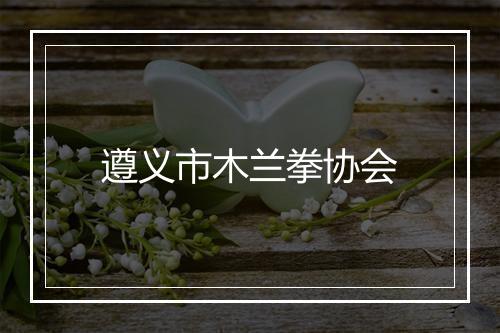 遵义市木兰拳协会