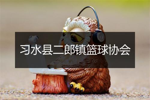 习水县二郎镇篮球协会