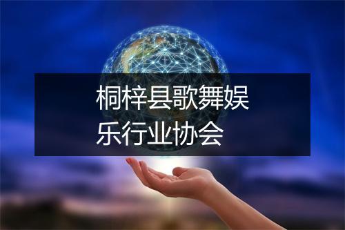 桐梓县歌舞娱乐行业协会