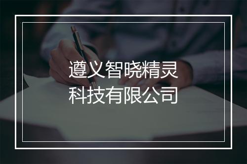 遵义智晓精灵科技有限公司