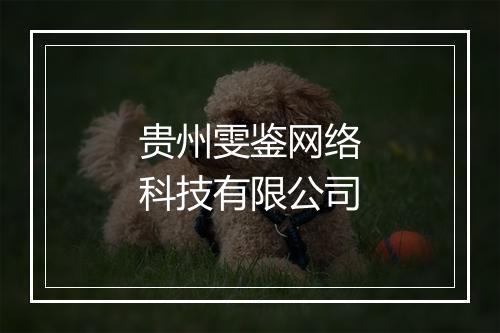 贵州雯鉴网络科技有限公司
